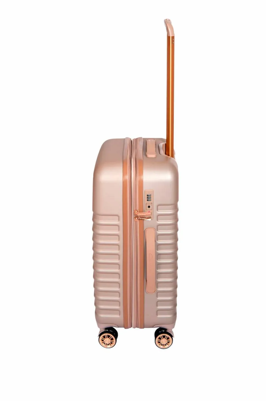 Cavalet Pasadena M Bronz/Bronz