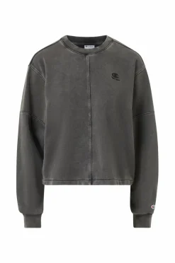 Champion Collegegenser Icons Wash Loose Fit Terry Crewneck Sweatshirt
