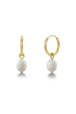 Edblad Øreringer Perla Hoops Gold