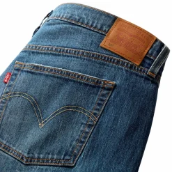 Levi's Plus Jeans 501 Pl