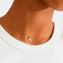 Pilgrim Halskjede Ajani Necklace Gold-plated