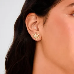 Pilgrim Øredobber Prism Earrings Gold-plated