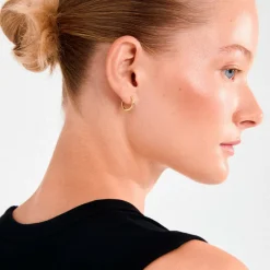 Pilgrim Øreringer Nova Hoop Earrings Gold-plated