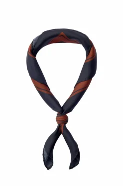 Selected Women Silkeskjerf Slfsara Silk