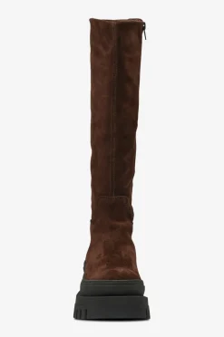Steve Madden Støvler Chipp
