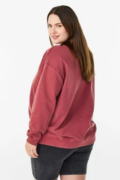 Zizzi Collegegenser aPenny