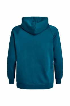 Zizzi Hettegenser Annie L/S Hoodie Sweat